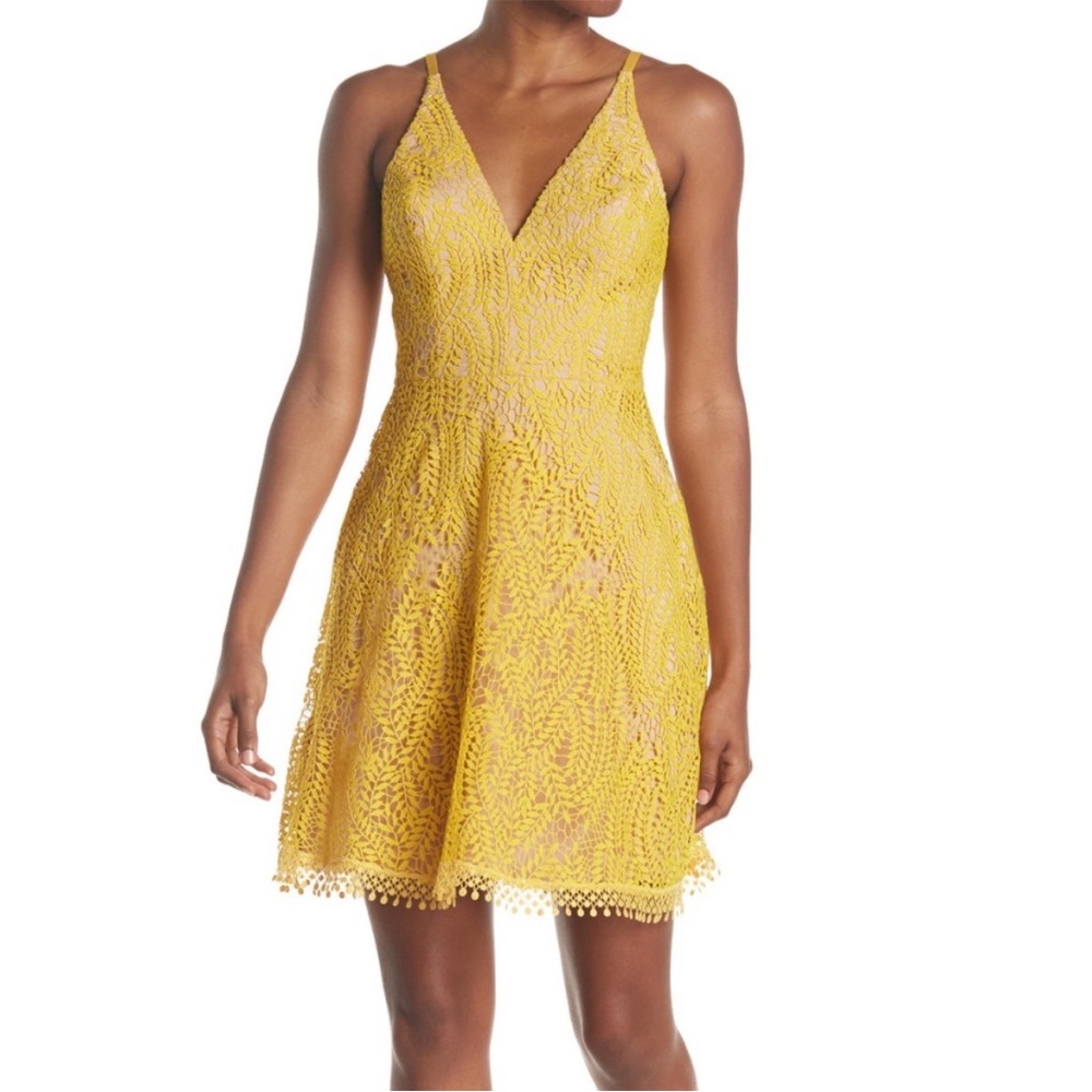 Dress the Population Piper Crochet Lace